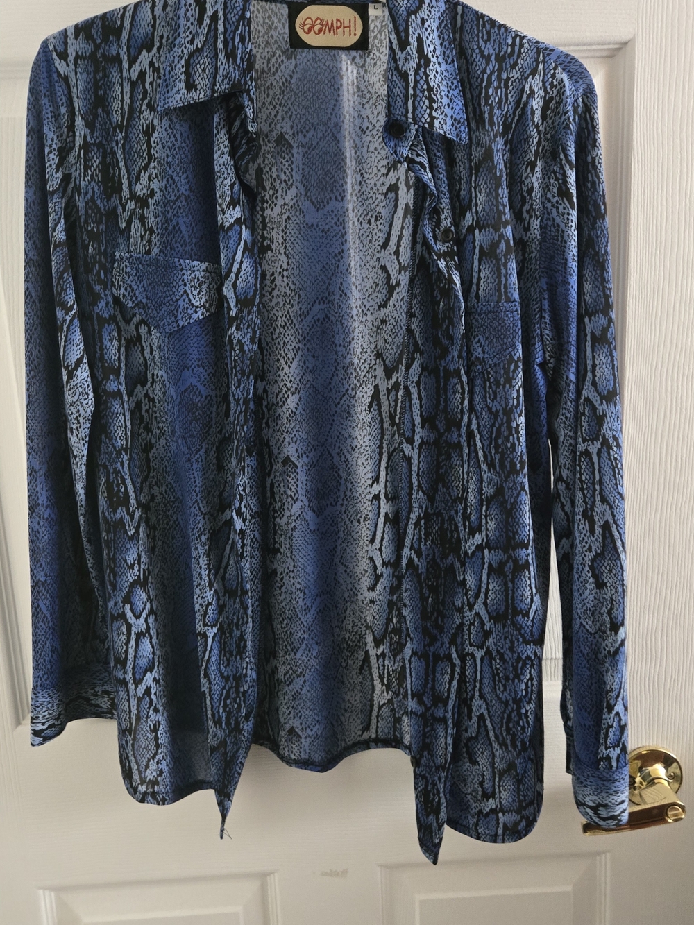 Blue Snake-Print Button Down Shirt